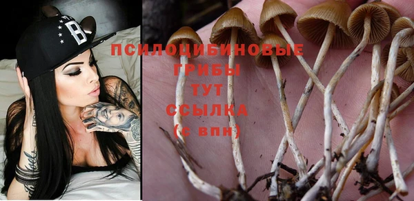 бошки Баксан