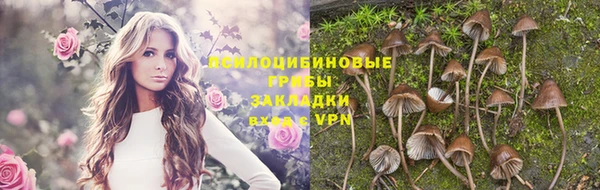 не бодяженный Аркадак