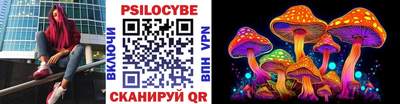закладки  Сорск  Галлюциногенные грибы Magic Shrooms 